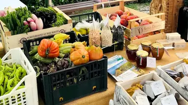 Country Resort Le Due Ruote