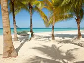 Couples Swept Away