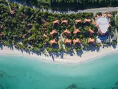 Couples Swept Away