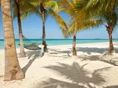 Couples Swept Away