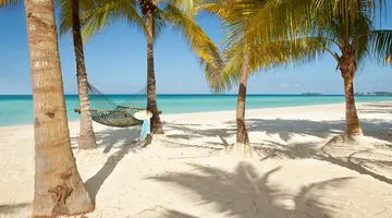 Couples Swept Away