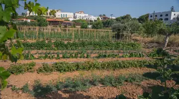 Creta Maris Resort