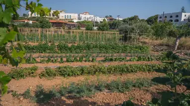 Creta Maris Resort