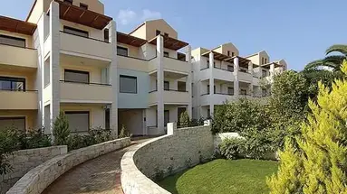 Creta Palm