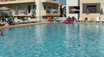 Creta Palm