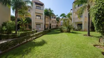 Creta Palm