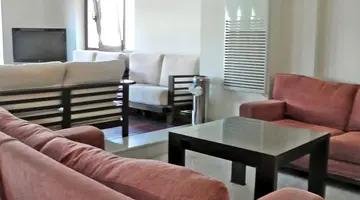 Creta Palm