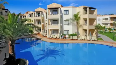 Creta Palm