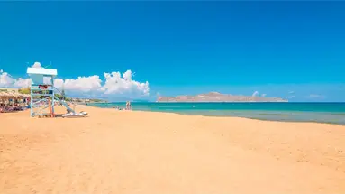 Creta Palm