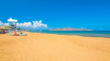 Creta Palm