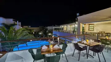 Creta Palm