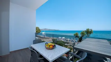 Creta Palm