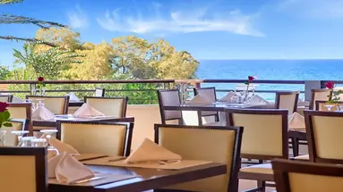 Creta Palm