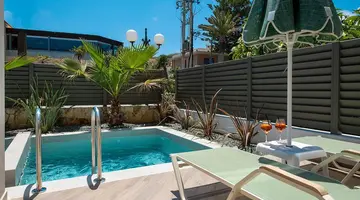 Creta Palm