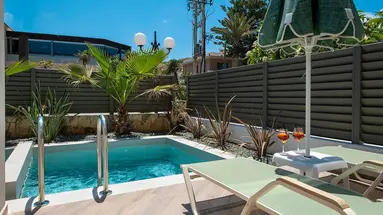 Creta Palm