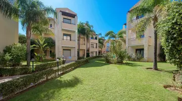 Creta Palm