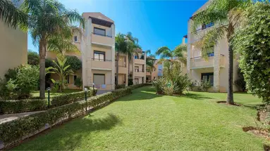 Creta Palm