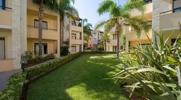 Creta Palm