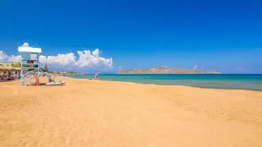 Creta Palm