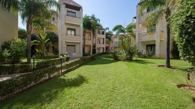 Creta Palm