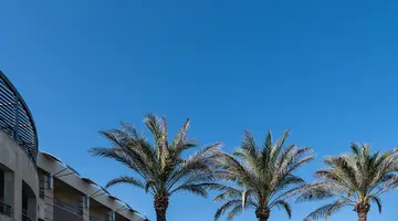 CRETAN DREAM ROYAL