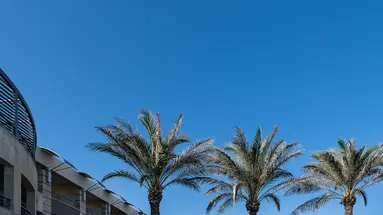 CRETAN DREAM ROYAL