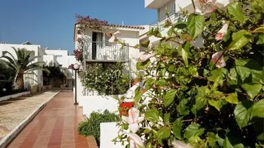 Cretan Garden