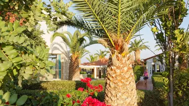 Cretan Garden