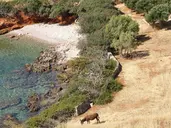 Cretan Village Hotel