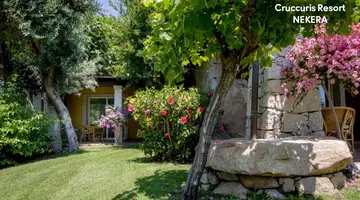CRUCCURIS HOTEL RESORT