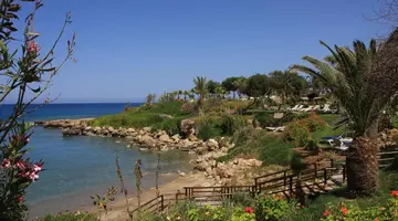 Crystal Springs Beach Hotel