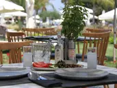 Crystal Springs Beach Hotel