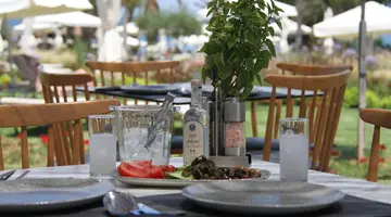 Crystal Springs Beach Hotel