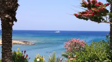 Crystal Springs Beach Hotel