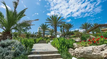 Crystal Springs Beach Hotel