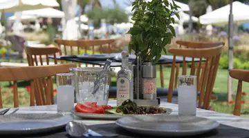 Crystal Springs Hotel