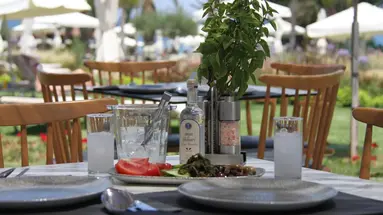 Crystal Springs Hotel