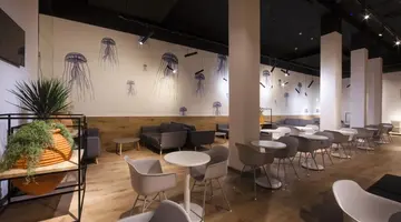 Cuco Hotel