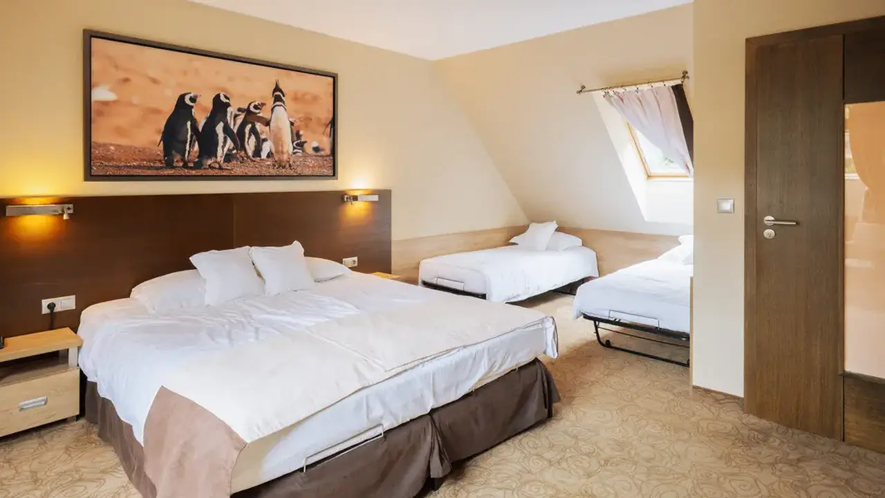 Czarny Groń Hotel & SPA