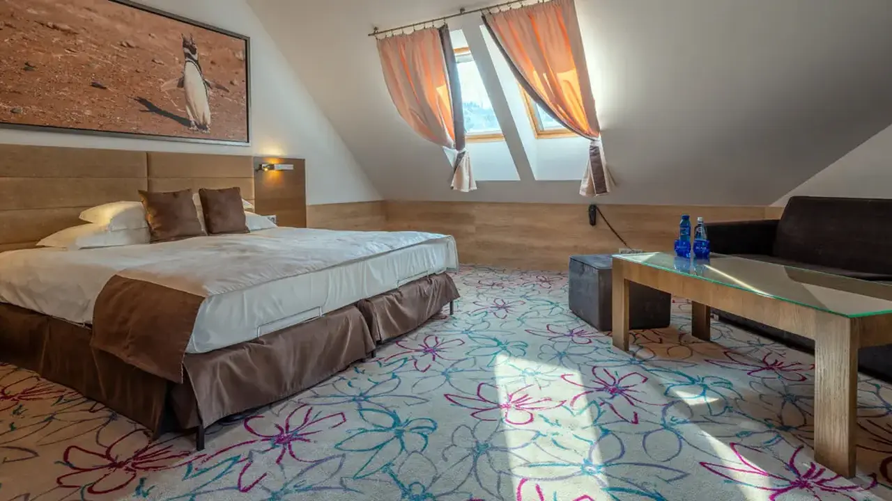 Czarny Groń Hotel & SPA