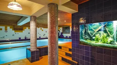 Czarny Potok Wellness & Spa Zakopane Centrum