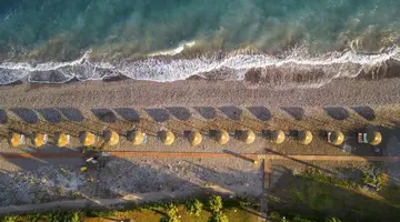 D Andrea Mare