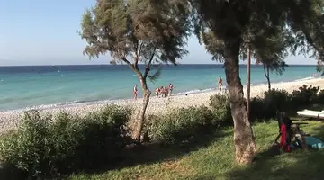 D Andrea Mare