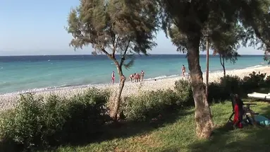 D Andrea Mare