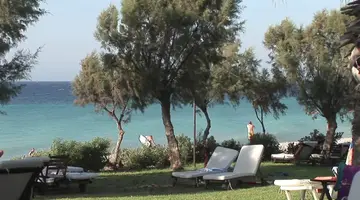 D Andrea Mare