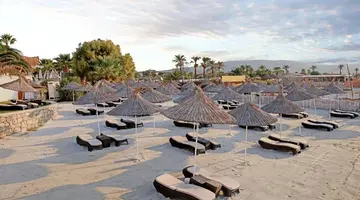 D SEYA BEACH