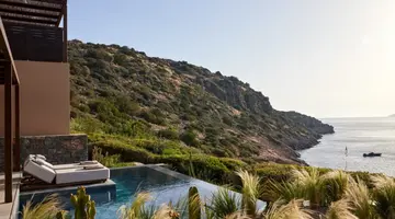 DAIOS COVE