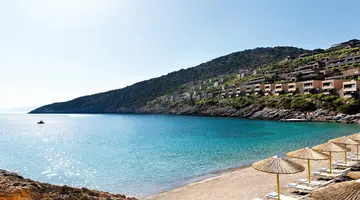 DAIOS COVE