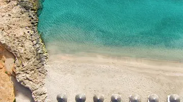 DAIOS COVE
