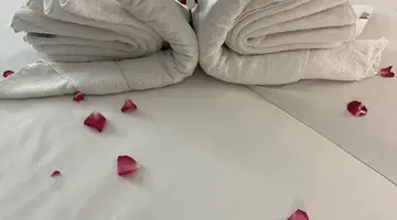 Daisy Hotel